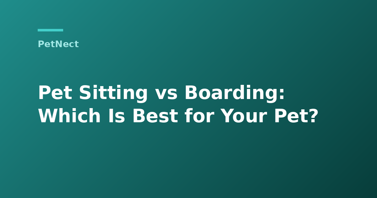 Pet Sitting vs Boarding: Which Is Best for Your Pet?