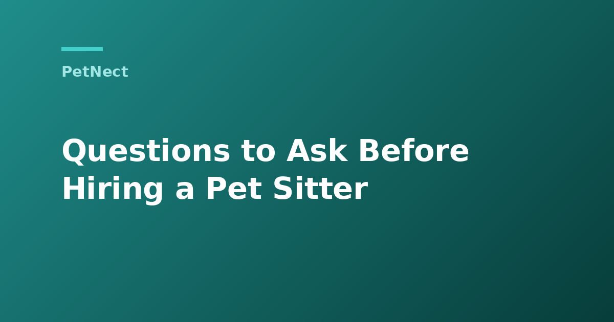 Questions to Ask Before Hiring a Pet Sitter