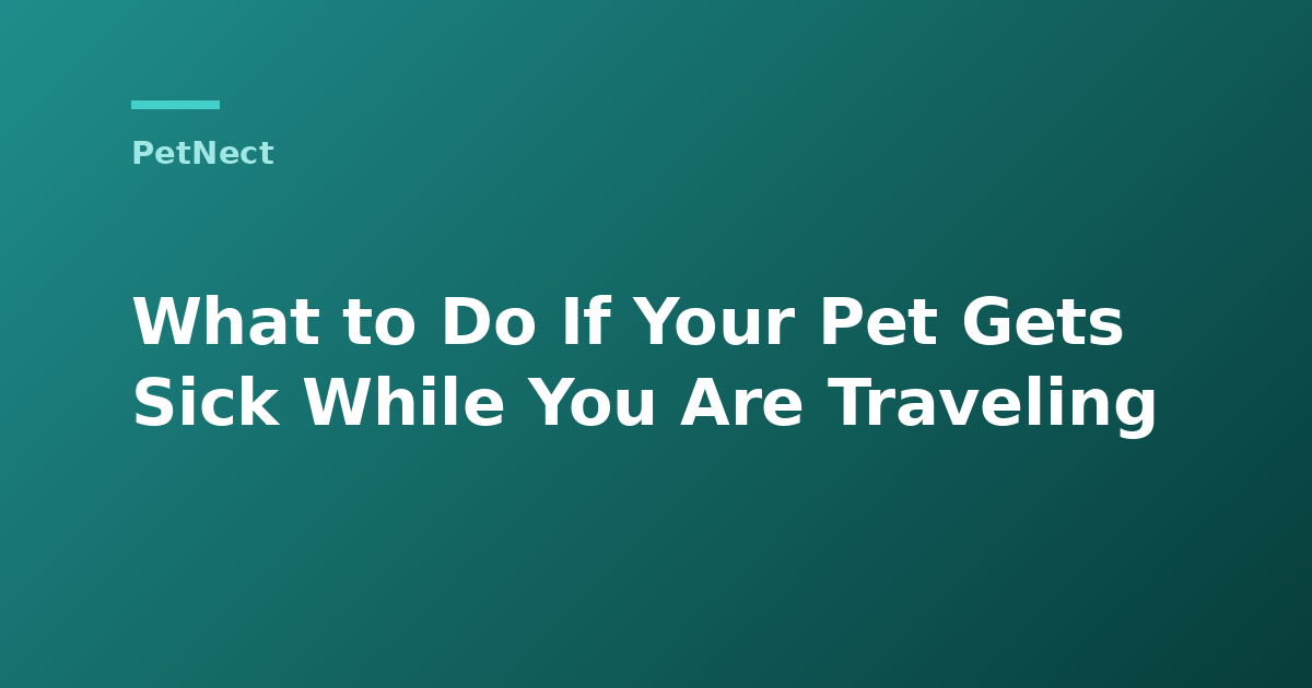What to Do If Your Pet Gets Sick While You Are Traveling