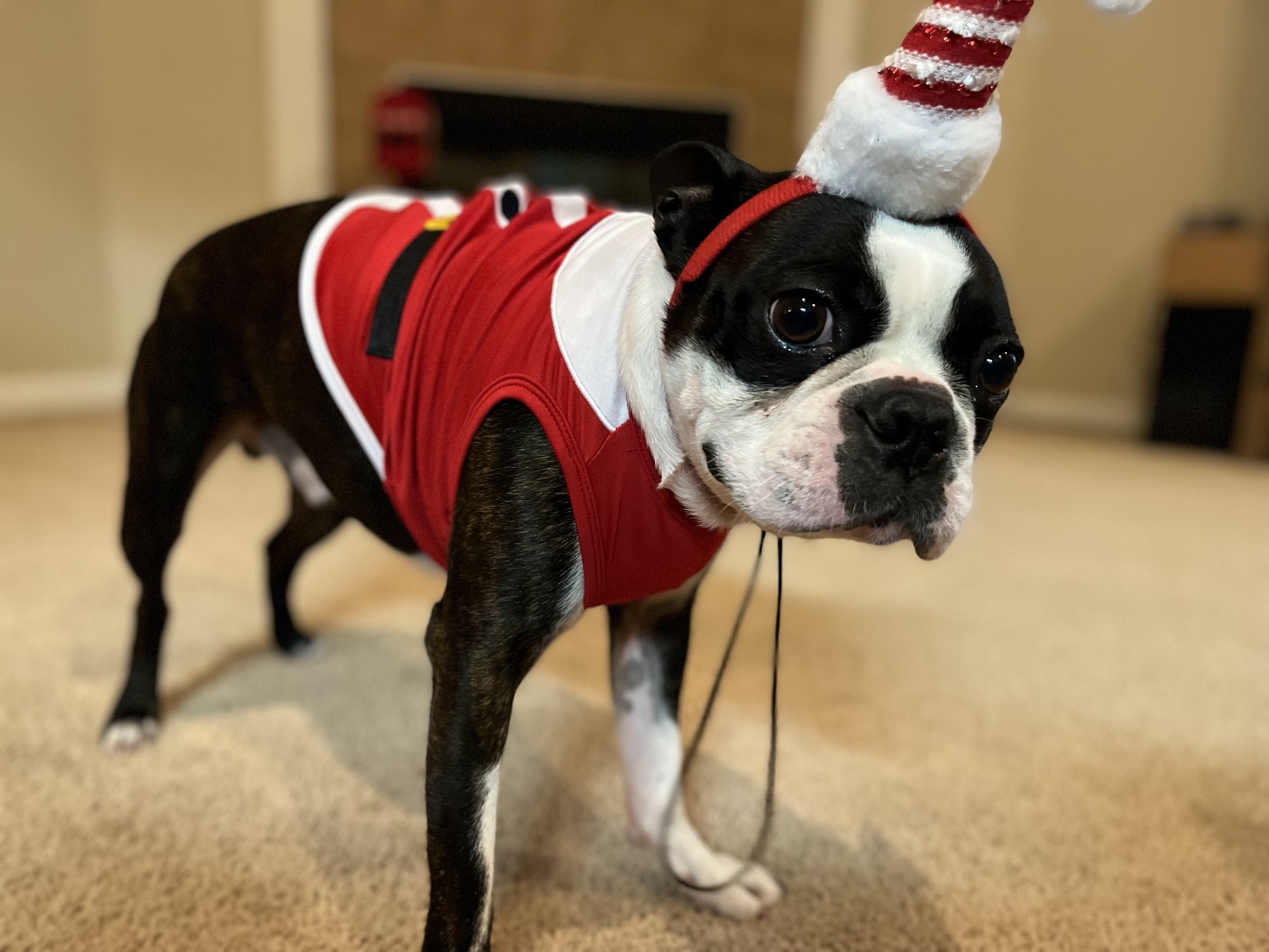 Otis